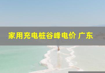 家用充电桩谷峰电价 广东